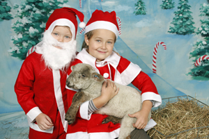 Christmas Photography and live animals brought to you