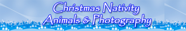 Christmas nativity animals and photography brought to you in the Berkshire area